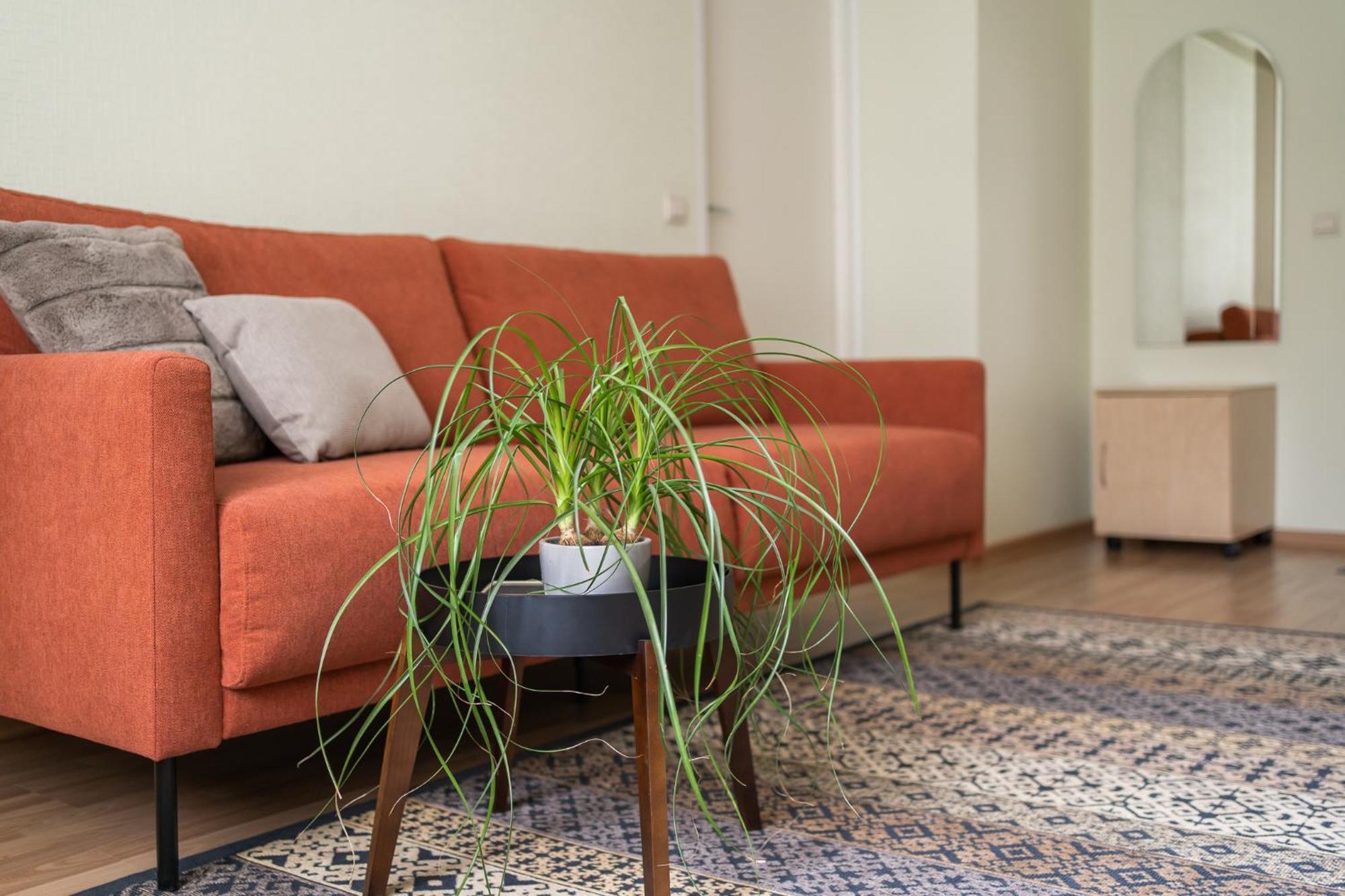 Virumaa Hostel Kohtla-Järve エクステリア 写真